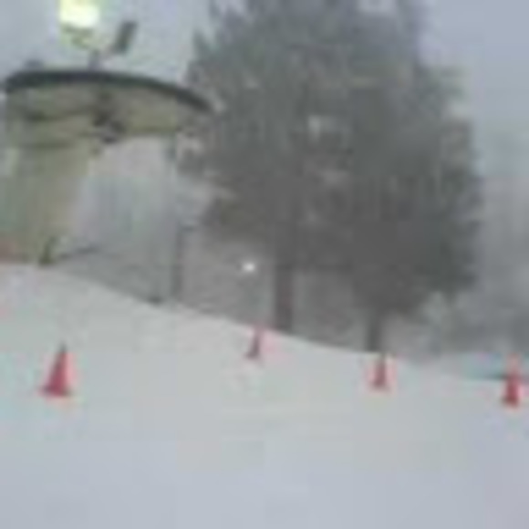 Meet your Posher, Drew - Picture 1 of 1